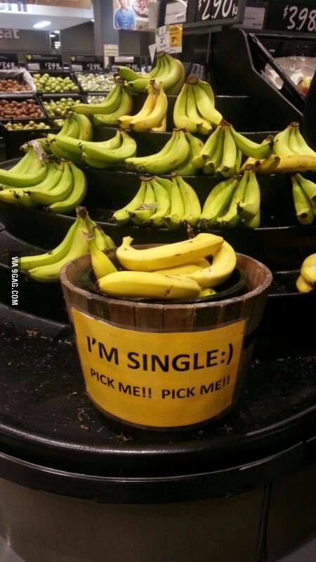 Ich bin Single, nimm mich! (via 9gag.com)