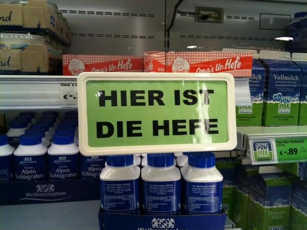 hieristdiehefe-dotti