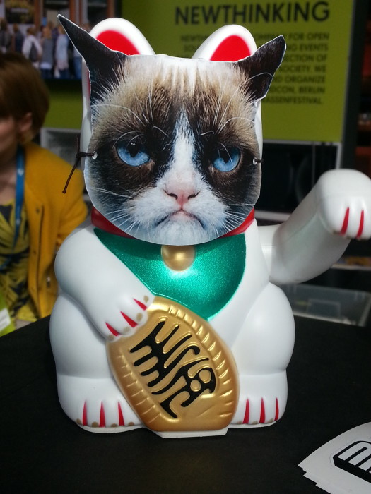 Grumpy Winke-Cat