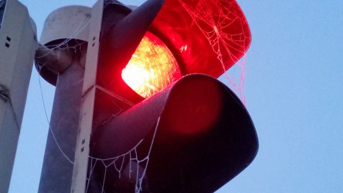 Die Ampel wird selten benutzt, da sind schon Spinnweben dran!