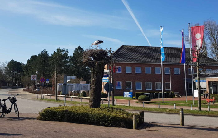 Ein Storch sitzt auf seinem Nest direkt am Marktplatz von St. Peter-Ording.