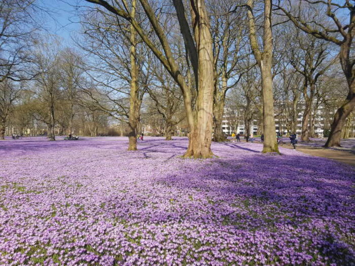 Der Husumer Schlosspark im März 2021